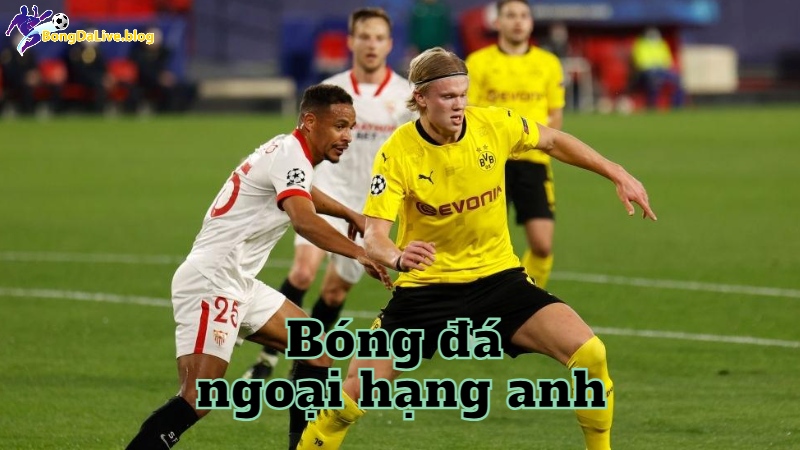 Bóng đá ngoại hạng anh trực tiếp hôm nay trên bongdalive.blog