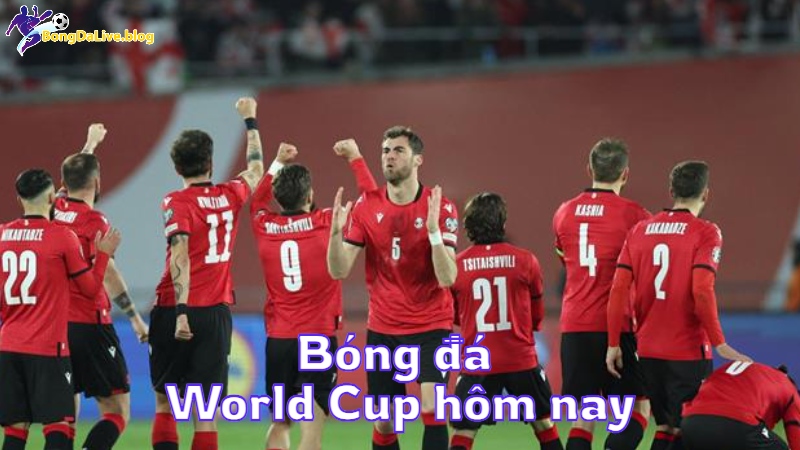 Bóng đá World Cup hôm nay tại bongdalive.blog