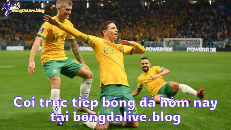 Coi trực tiếp bóng đá hôm nay tại bongdalive.blog