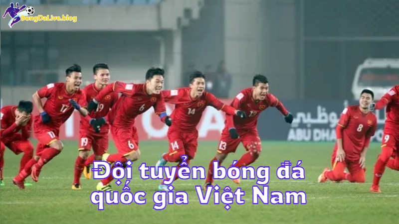 Đội tuyển bóng đá quốc gia Việt Nam thi đấu trực tiếp trên bongdalive.blog