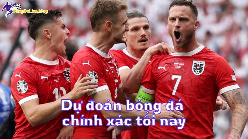 Dự đoán bóng đá chính xác tối nay trên bongdalive.blog