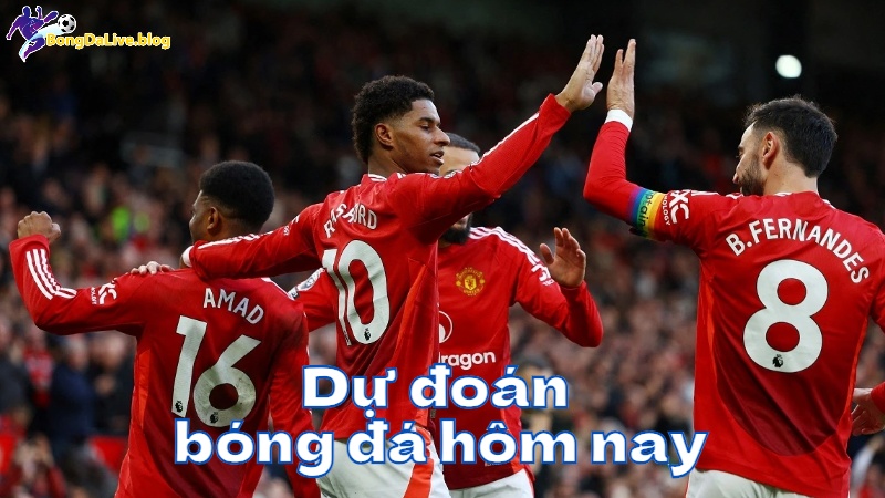 Dự đoán bóng đá hôm nay tại bongdalive.blog