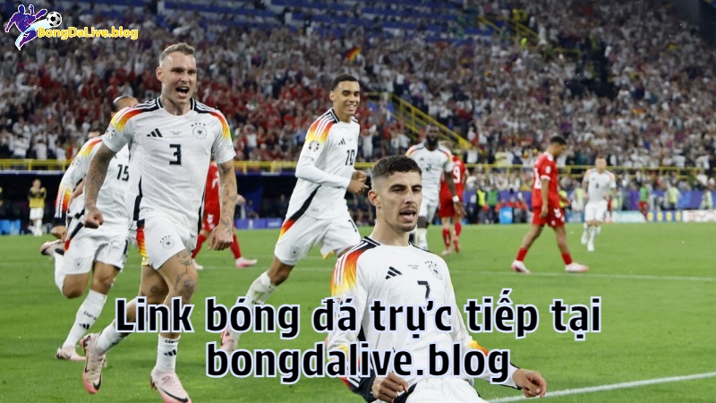Link bóng đá trực tiếp tại bongdalive.blog