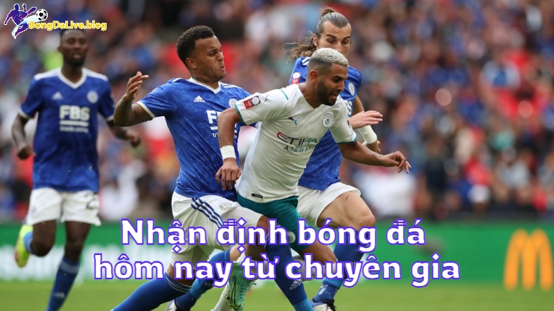 Nhận định bóng đá hôm nay từ các chuyên gia trên bongdalive.blog