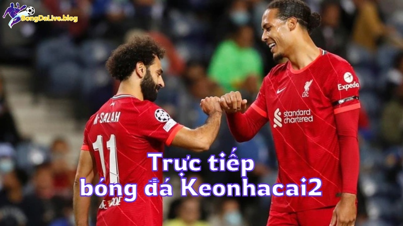 Trực tiếp bóng đá Keonhacai2 trên bongdalive.blog