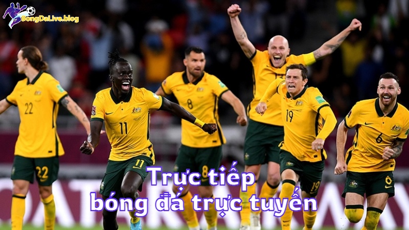 Trực tiếp bóng đá trực tuyến tại bongdalive.blog