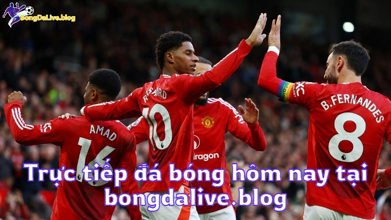 Trực tiếp đá bóng hôm nay tại bongdalive.blog
