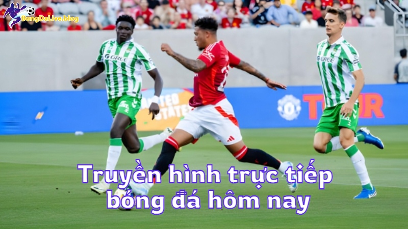 Truyền hình trực tiếp bóng đá hôm nay tại bongdalive.blog